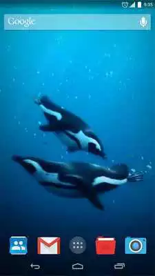 Play Swimming Penguins Live