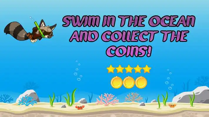 Play Swimming Raccoon