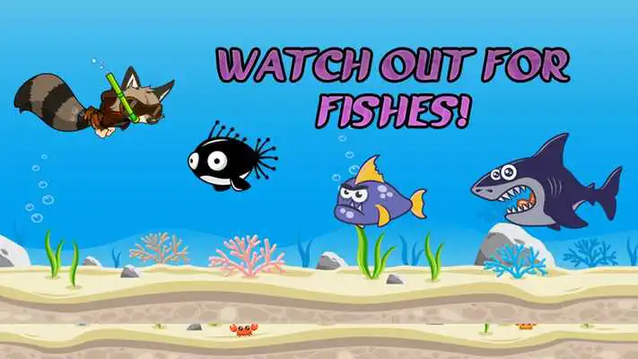 Play Swimming Raccoon