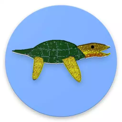 Play Swimmy Turtle APK