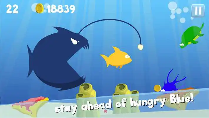 Play Swim! Yellow! Swim! Play Swim! Yellow! Swim!