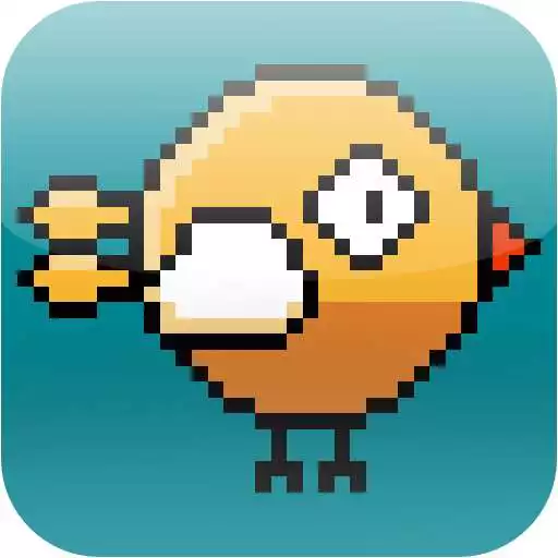 Play Swipe the birds APK Play Swipe the birds APK