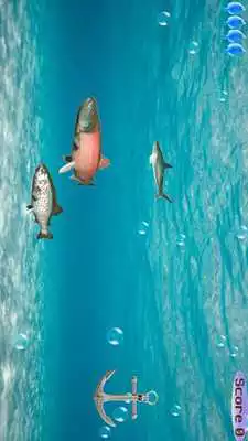 Play Swipe To Cut Swimming Fish
