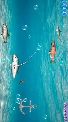 Play Swipe To Cut Swimming Fish