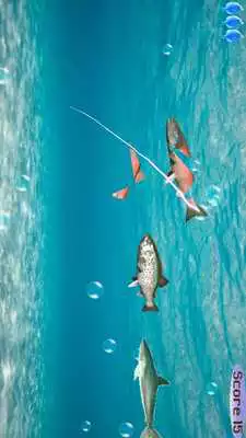 Play Swipe To Cut Swimming Fish