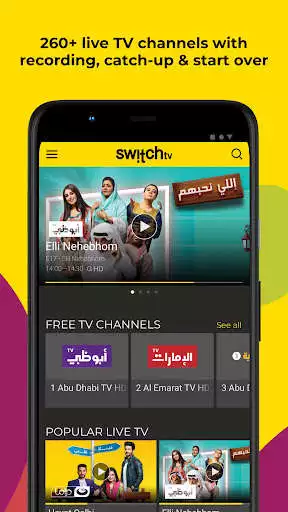 Play Switch TV as an online game Switch TV with UptoPlay