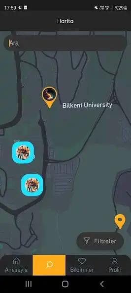 Play Sylvest  and enjoy Sylvest with UptoPlay