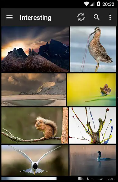 Play Sync for Flickr Play Sync for Flickr