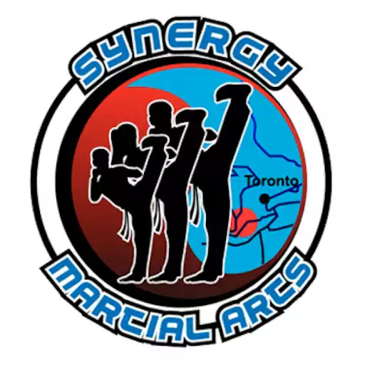 Play Synergy Martial Arts APK Play Synergy Martial Arts APK