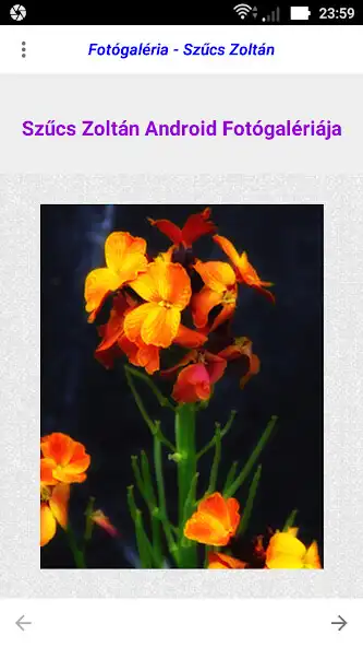 Play Szűcs Zoltán - Fotógalériája and enjoy Szűcs Zoltán - Fotógalériája with UptoPlay Play Szűcs Zoltán - Fotógalériája and enjoy Szűcs Zoltán - Fotógalériája with UptoPlay