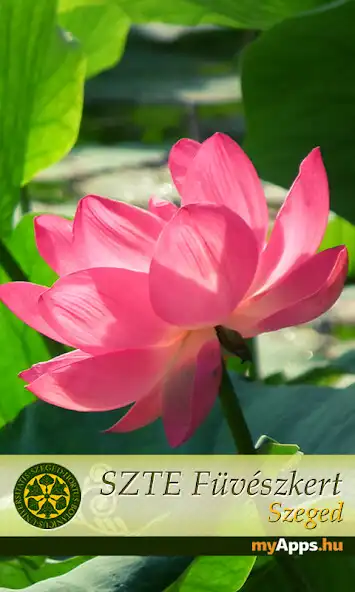 Play SZTE Füvészkert Szeged  and enjoy SZTE Füvészkert Szeged with UptoPlay