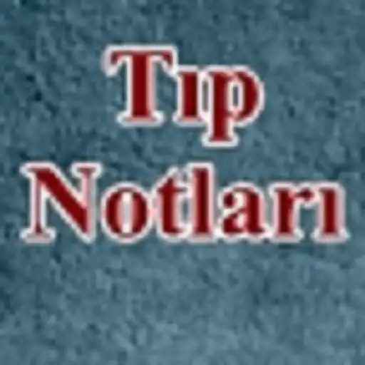 Free play online T1p Notlar1  APK
