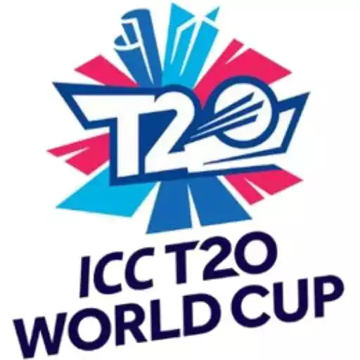 Play T20 Cricket