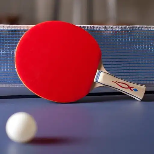 Play Table Tennis Players APK Play Table Tennis Players APK