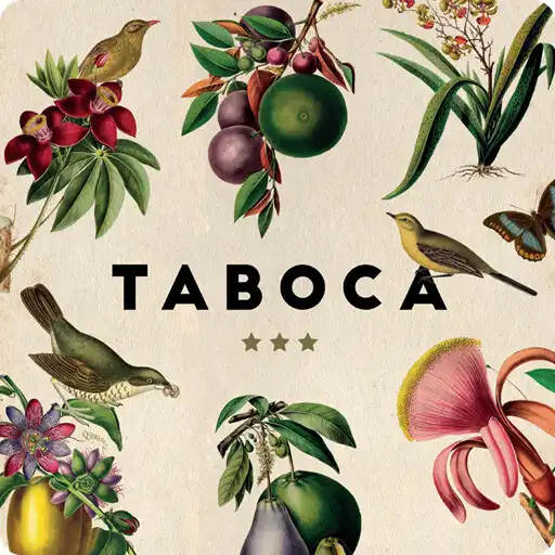 Play TABOCA APK
