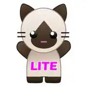 Free play online Taco Cat Lite APK Free play online Taco Cat Lite APK