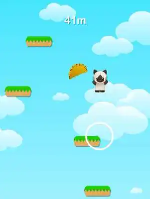 Play Taco Cat Lite