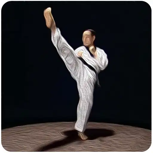 Play Taekwondo Basic Motions APK