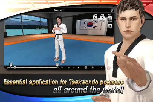 Play Taekwondo Poomsae Master