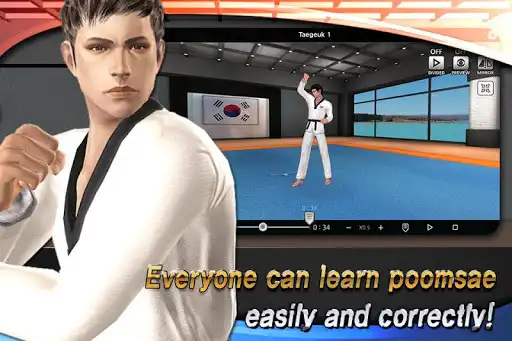 Play Taekwondo Poomsae Master