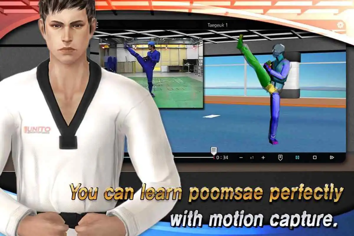 Play Taekwondo Poomsae Master