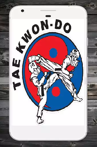 Play Taekwondo