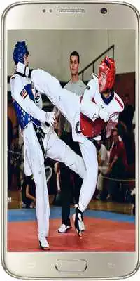Play Taekwondo