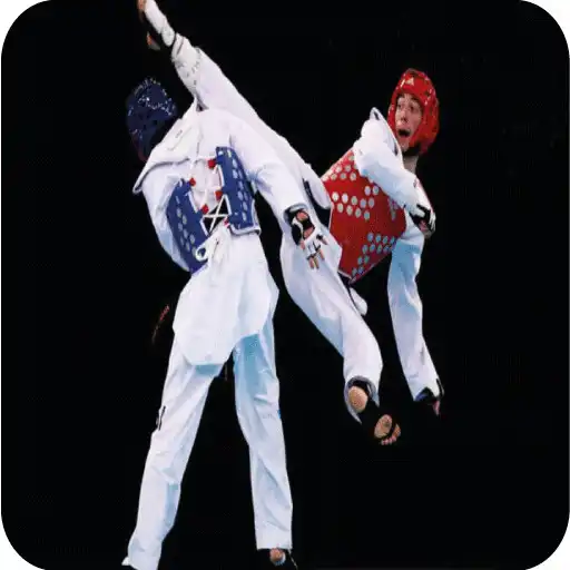 Free play online Taekwondo Techniques APK Free play online Taekwondo Techniques APK
