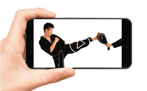 Play Taekwondo Techniques