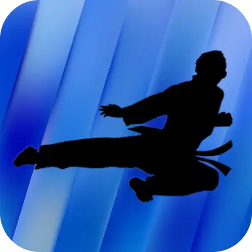 Play Taekwondo Training - Videos APK