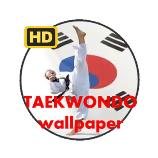 Play TAEKWONDO WALLPAPER APK
