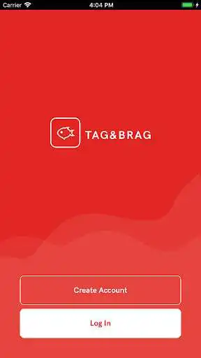 Play Tag & Brag  and enjoy Tag & Brag with UptoPlay