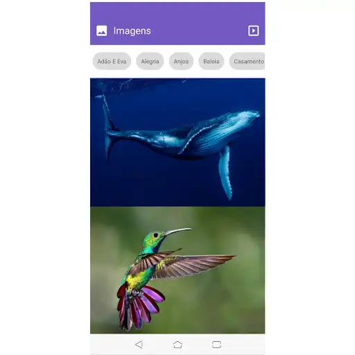 Play Tagged Images  and enjoy Tagged Images with UptoPlay