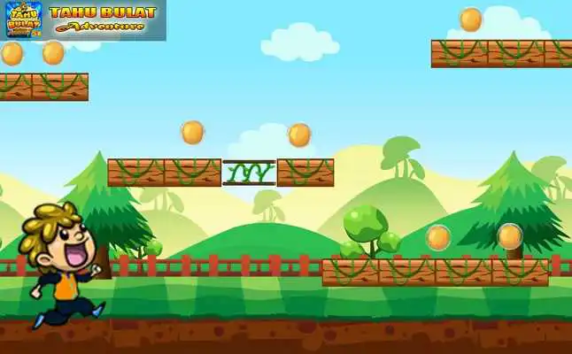 Play Tahu bulat adventure