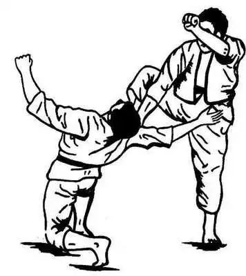 Play tai chi technique