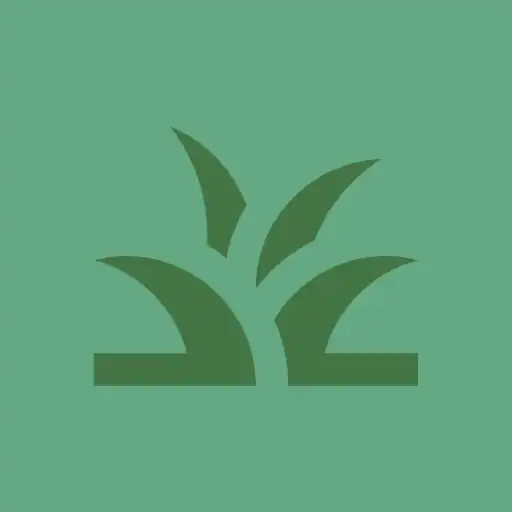 Play Taime Taimer APK