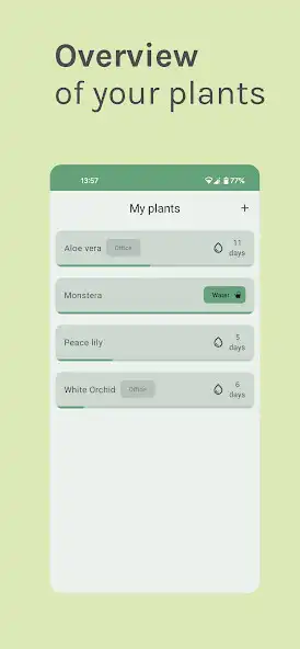 Play Taime Taimer  and enjoy Taime Taimer with UptoPlay