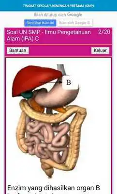 Play Taj Mahal Tourist Guide