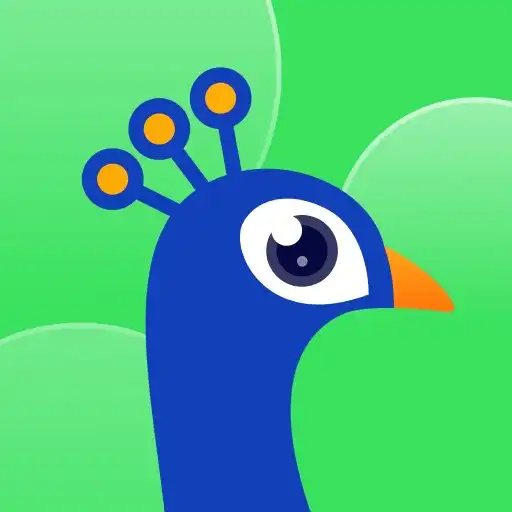 Play Taka - Voice Party Live Room APK Play Taka - Voice Party Live Room APK