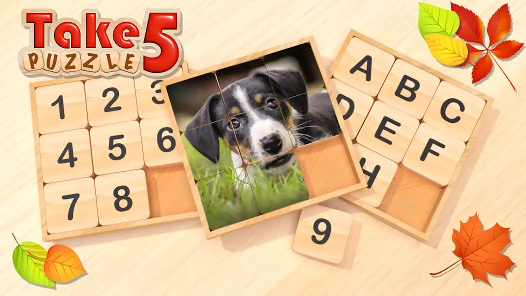 Play Take 5 Puzzle  and enjoy Take 5 Puzzle with UptoPlay