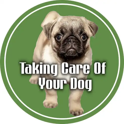 Play Taking care of your dog and the dog care routine APK