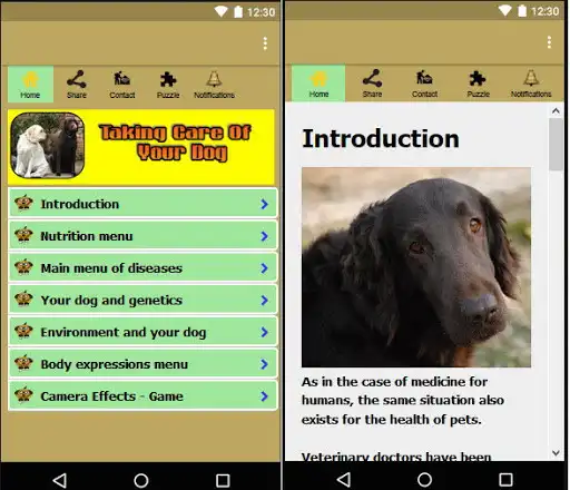 Play Taking care of your dog and the dog care routine  and enjoy Taking care of your dog and the dog care routine with UptoPlay
