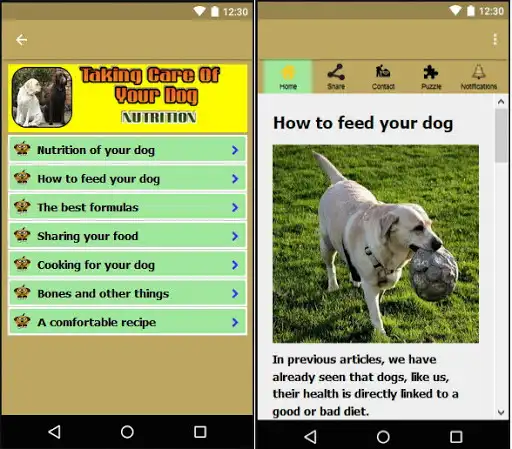 Play Taking care of your dog and the dog care routine as an online game Taking care of your dog and the dog care routine with UptoPlay
