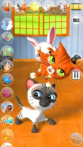 Play Talking 3 Friends Cats  Bunny