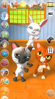 Play Talking 3 Friends Cats  Bunny