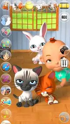 Play Talking 3 Friends Cats  Bunny