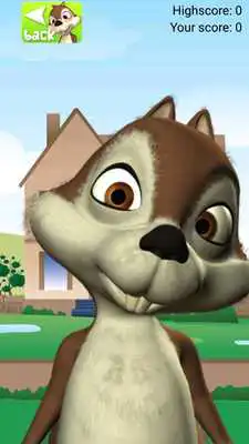 Play Talking Baby Squirrel