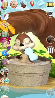 Play Talking Baby Squirrel