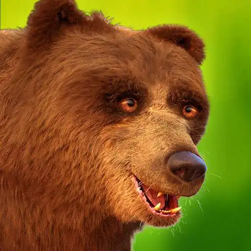 Play Talking Bear APK
