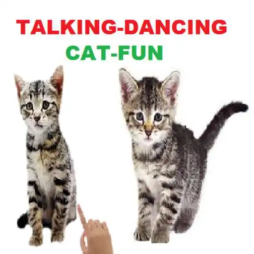 Play Talking Cat-Animal-Dance app APK